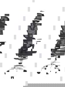 modern chair - Premium Furniture